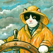 Uploadcat_card