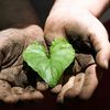 Heart_in_her_handwm_thumb