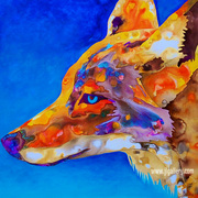Mahalajlgallery_card