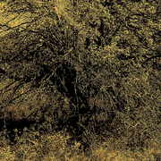 ______0950_card