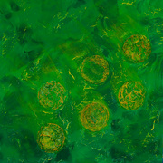 Green_anahata_chakra_card