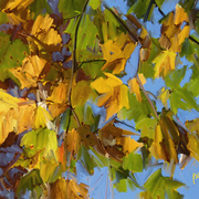 Yellow_leaves3-sm_card