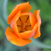 Dsc_0003_card