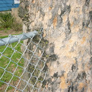 Thetreeandthefence_card