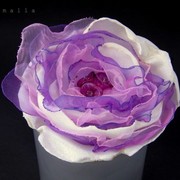 100_1441_card