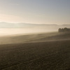 Herbst_0078net_thumb