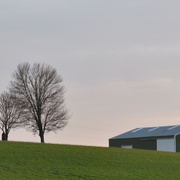 Dsc_0126_card