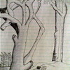 Palm_thumb