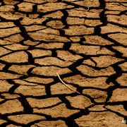 Thirsty_land_card