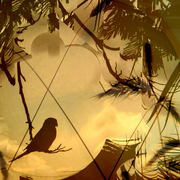 Silhouette_3
