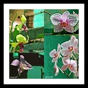 Page1_card