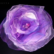 100_1487_card