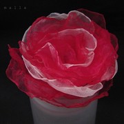 100_1498_card