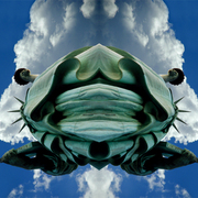 Celestial_liberties_card