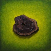 Isla_tierra_card