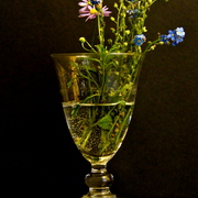 Dsc07406_card