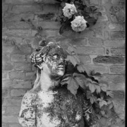Torcello_01_card