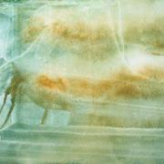 Bild_2677_card