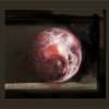 Plum2_thumb