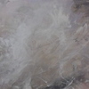 Paintnet_004_thumb