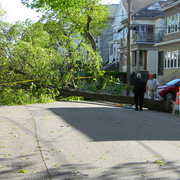 Treedown_card
