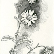 110784_card