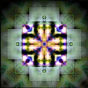 G_card