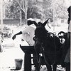 Horse_thumb
