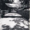 Elephanta_thumb