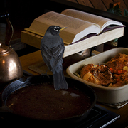 Dinner_guest_card