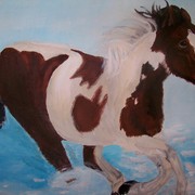 100_0279_card