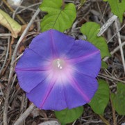 110_5562_card