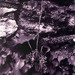 Walking_home___square