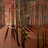 Forest-autumn-dawn-land_thumb