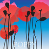 Poppy_flat_1_thumb