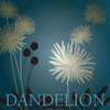 Dandelion_flat_thumb
