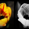 Page_thumb