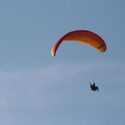 Flying_with_eagles_card