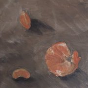 Wordpress_twoorangeslicesandpeal_card