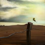 Buttefly_effect_by_loritobby_card