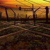 Ivo_background8_thumb