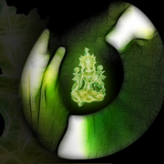 Green-tara_card