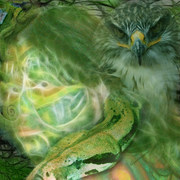 Nature_card