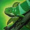 Crested_iguana_thumb