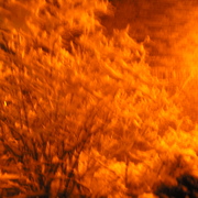 Sh103290_card