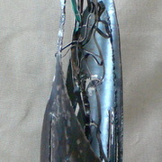 P1090452_card