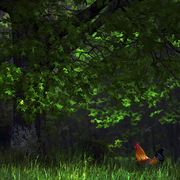 Spring_cock_card