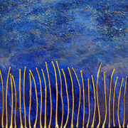 Twilight_field_card