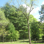 Img_4822_card