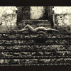 Laetitia-5_thumb